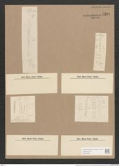 Synedra investiens W. Sm. (de-Toni-Nr.: Genus 66, Species 2597) Zeichnungen Sammlung Grunow Nr. 5296 (NHMW-BOT-W0373689)